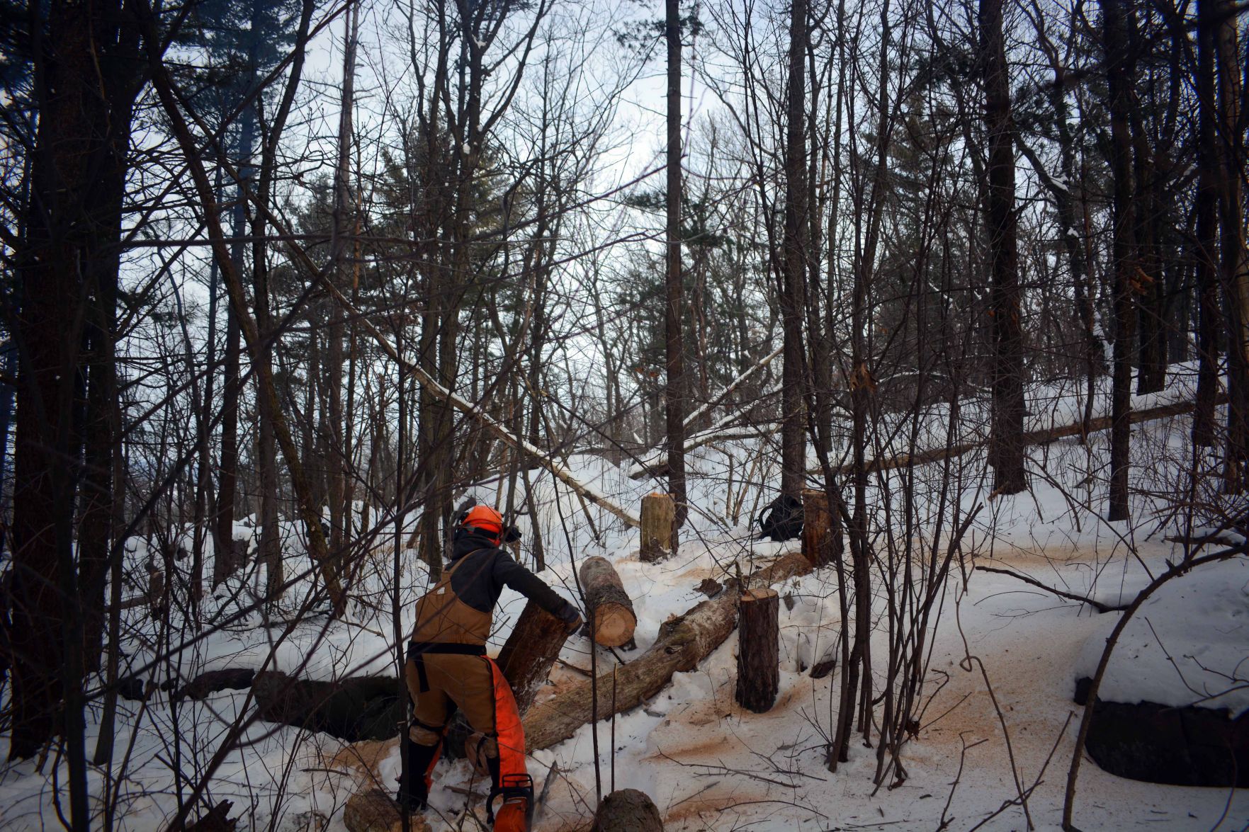 Devil's Lake east bluff stewardship work